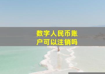 数字人民币账户可以注销吗