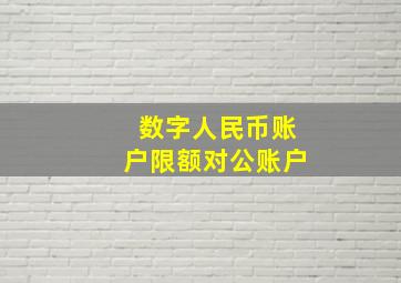 数字人民币账户限额对公账户