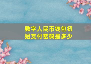 数字人民币钱包初始支付密码是多少