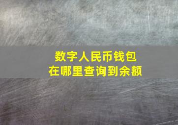 数字人民币钱包在哪里查询到余额