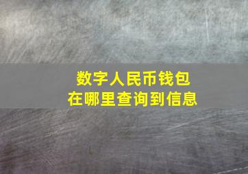 数字人民币钱包在哪里查询到信息