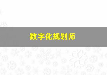 数字化规划师