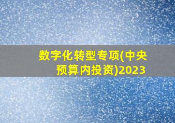 数字化转型专项(中央预算内投资)2023