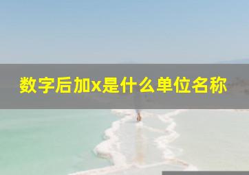 数字后加x是什么单位名称