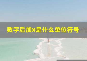 数字后加x是什么单位符号