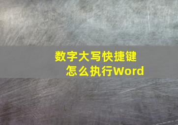 数字大写快捷键怎么执行Word