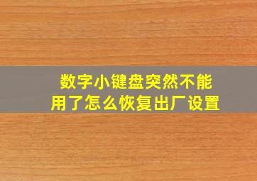 数字小键盘突然不能用了怎么恢复出厂设置