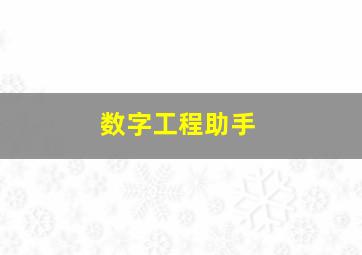 数字工程助手