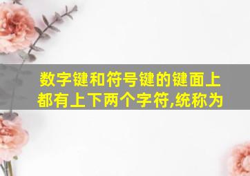 数字键和符号键的键面上都有上下两个字符,统称为