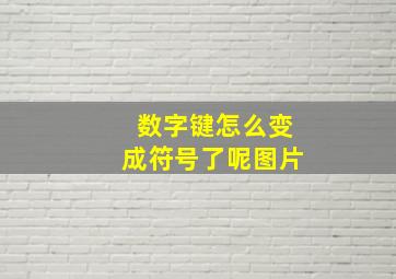 数字键怎么变成符号了呢图片