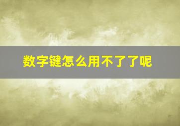 数字键怎么用不了了呢