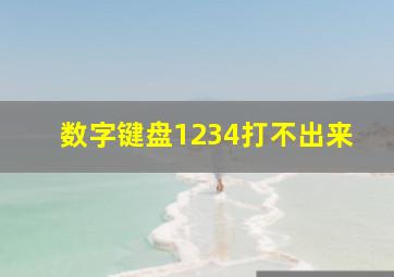 数字键盘1234打不出来