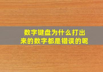 数字键盘为什么打出来的数字都是错误的呢