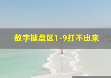 数字键盘区1-9打不出来