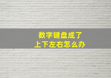 数字键盘成了上下左右怎么办