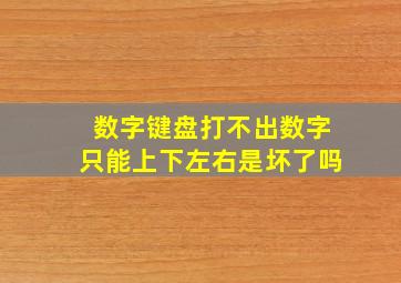 数字键盘打不出数字只能上下左右是坏了吗