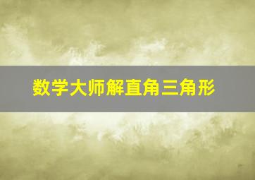 数学大师解直角三角形