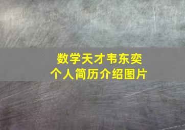 数学天才韦东奕个人简历介绍图片