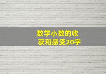 数学小数的收获和感受20字