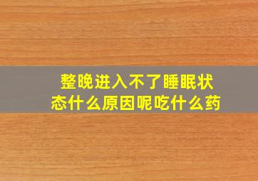 整晚进入不了睡眠状态什么原因呢吃什么药