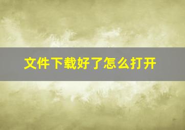 文件下载好了怎么打开