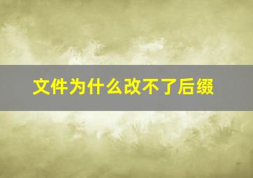 文件为什么改不了后缀