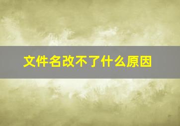 文件名改不了什么原因