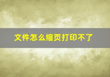 文件怎么缩页打印不了