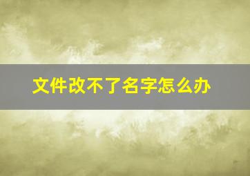 文件改不了名字怎么办