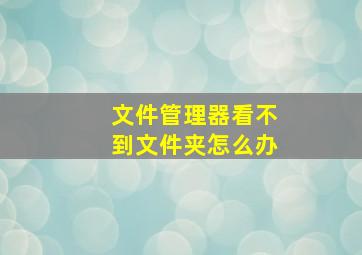 文件管理器看不到文件夹怎么办