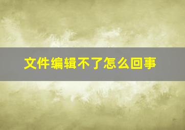 文件编辑不了怎么回事