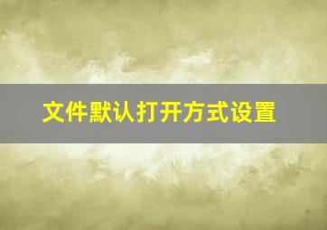 文件默认打开方式设置