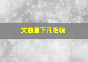 文曲星下凡相貌