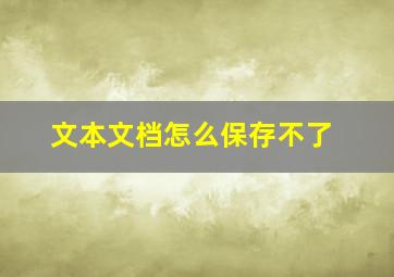 文本文档怎么保存不了