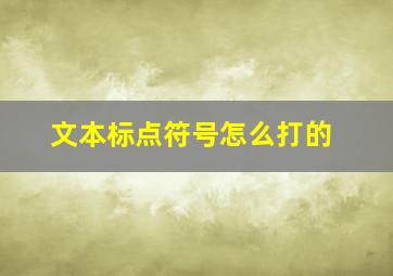 文本标点符号怎么打的