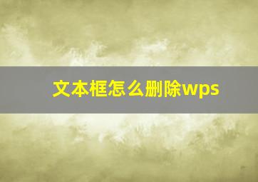 文本框怎么删除wps