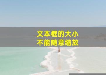 文本框的大小不能随意缩放