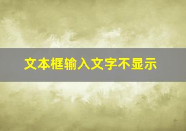 文本框输入文字不显示