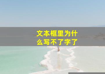 文本框里为什么写不了字了