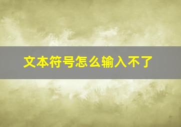 文本符号怎么输入不了