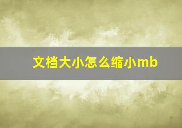 文档大小怎么缩小mb