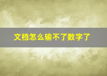 文档怎么输不了数字了