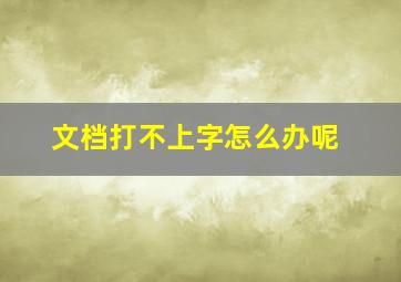 文档打不上字怎么办呢