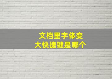 文档里字体变大快捷键是哪个