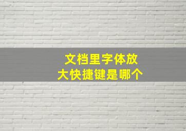 文档里字体放大快捷键是哪个