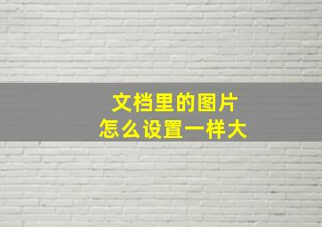 文档里的图片怎么设置一样大