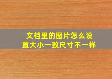 文档里的图片怎么设置大小一致尺寸不一样