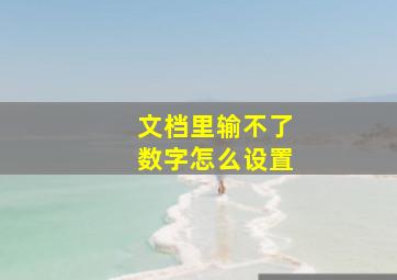 文档里输不了数字怎么设置