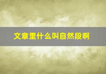 文章里什么叫自然段啊