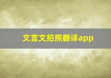 文言文拍照翻译app